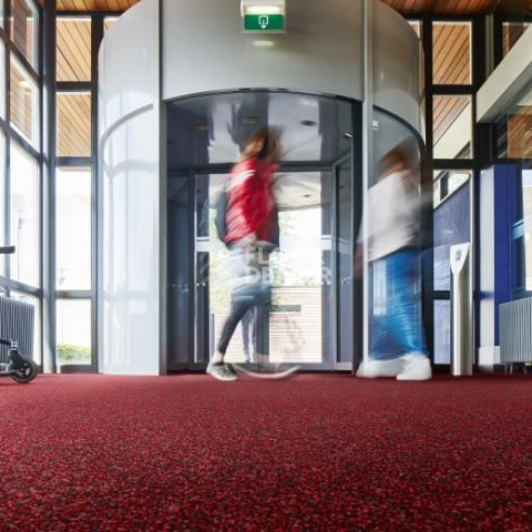 Forbo Coral Bright 2603 Vivid Earth фото 3 | FLOORDEALER
